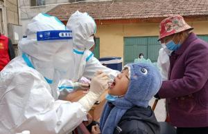 国产大茄子在线观看视频,在线观看，揭秘茄子界的“网红”传奇