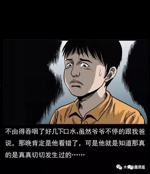 僵尸王动漫国产在线观看,国产动漫盛宴，在线观看惊悚来袭！