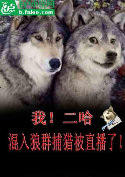 狼群在线播放国产,国产悬疑巨制，揭秘神秘狼群世界